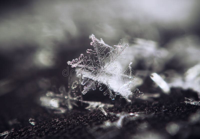 Snowflake Beautifull on the Grey Background Stock Photo - Image of