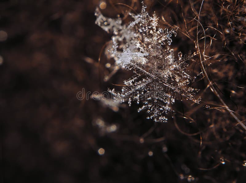Snowflake on Dark Red Background Stock Photo - Image of snowflakes