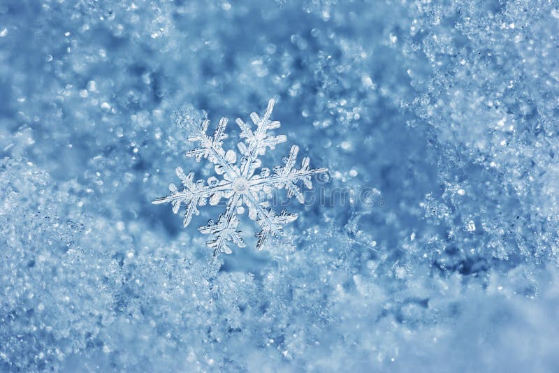 Snowflake Fairytale