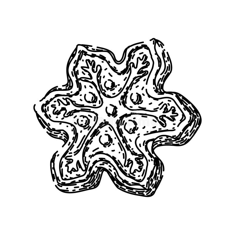 Snowflake gingerbread sketch hand drawn vector stock illustration