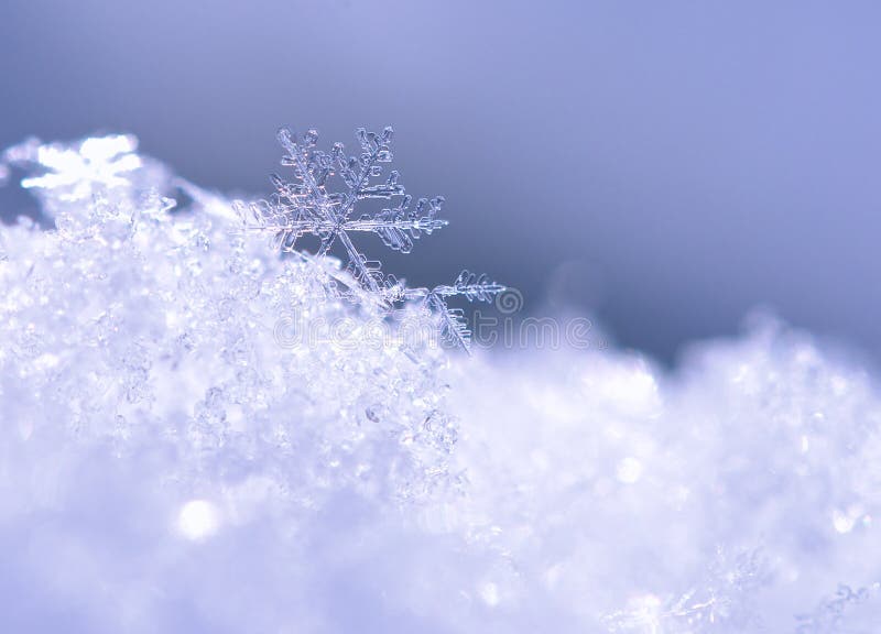 Snowflake Macro