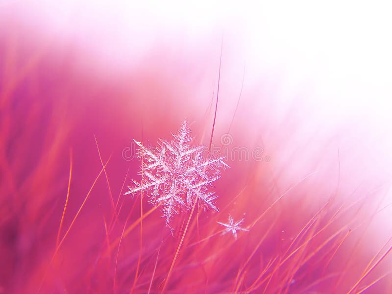 Snowflake όμορφο στη ζωηρόχρωμη μακροεντολή υποβάθρου στοκ εικόνα