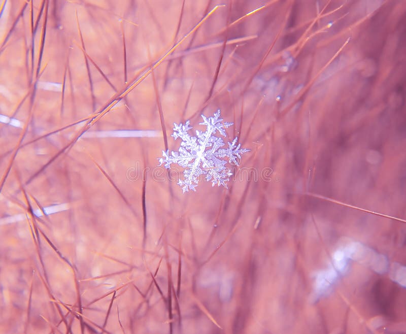 Snowflake όμορφο στη ζωηρόχρωμη μακροεντολή υποβάθρου στοκ φωτογραφίες