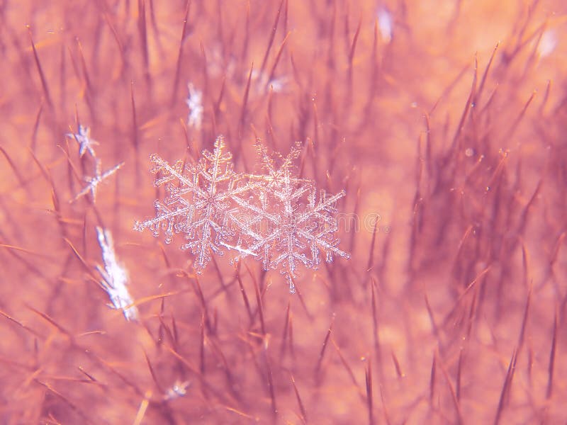 Snowflake όμορφο στη ζωηρόχρωμη μακροεντολή υποβάθρου στοκ φωτογραφία με δικαίωμα ελεύθερης χρήσης