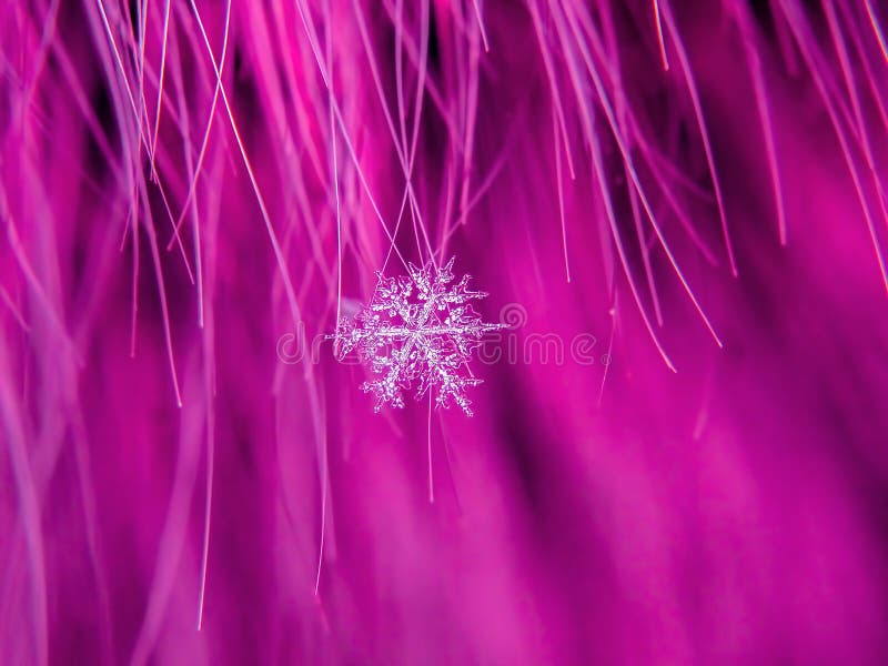 Snowflake όμορφο στη ζωηρόχρωμη μακροεντολή υποβάθρου στοκ εικόνες με δικαίωμα ελεύθερης χρήσης