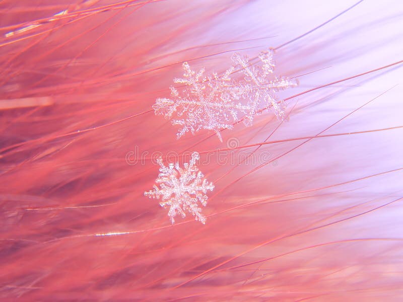 Snowflake όμορφο στη ζωηρόχρωμη μακροεντολή υποβάθρου στοκ φωτογραφία