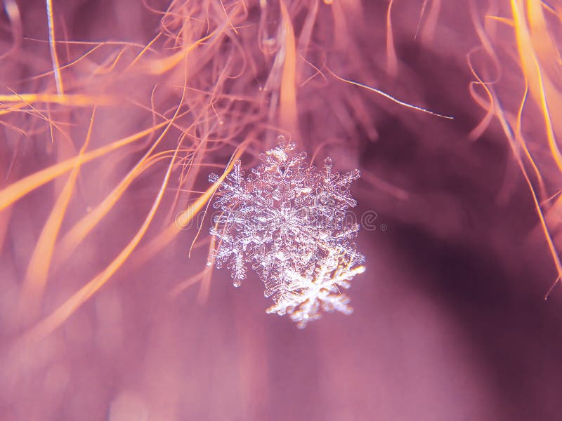 Snowflake όμορφο στη ζωηρόχρωμη μακροεντολή υποβάθρου στοκ εικόνα