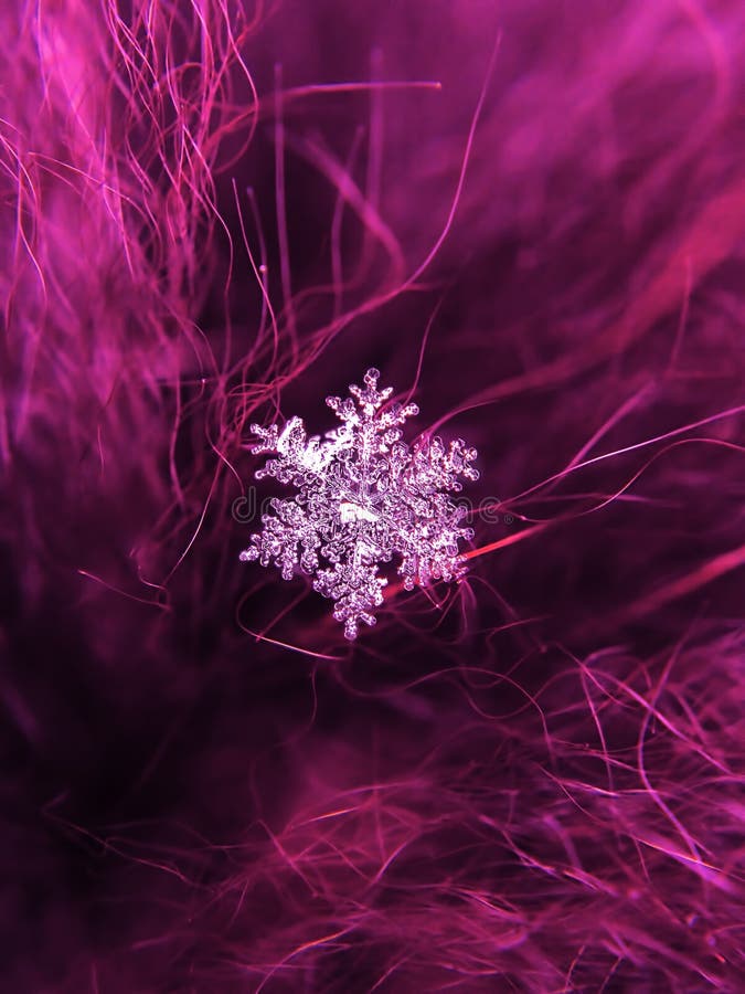 Snowflake όμορφο στη ζωηρόχρωμη μακροεντολή υποβάθρου στοκ εικόνες