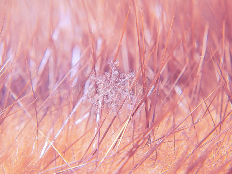 Snowflake όμορφο στη ζωηρόχρωμη μακροεντολή υποβάθρου στοκ φωτογραφίες με δικαίωμα ελεύθερης χρήσης