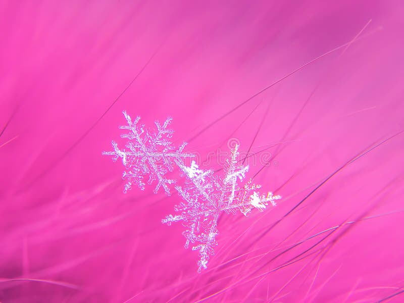Snowflake όμορφο στη ζωηρόχρωμη μακροεντολή υποβάθρου στοκ φωτογραφίες με δικαίωμα ελεύθερης χρήσης