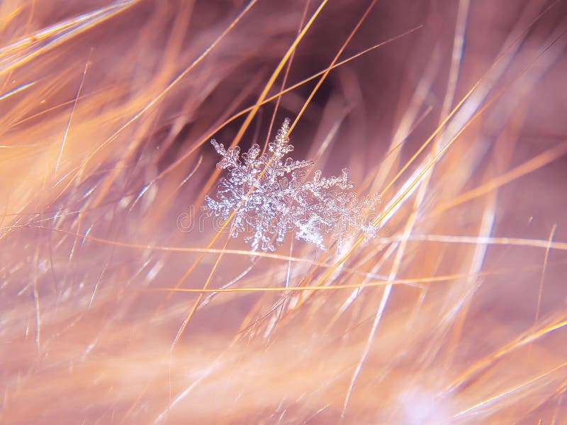 Snowflake όμορφο στη ζωηρόχρωμη μακροεντολή υποβάθρου στοκ εικόνες με δικαίωμα ελεύθερης χρήσης