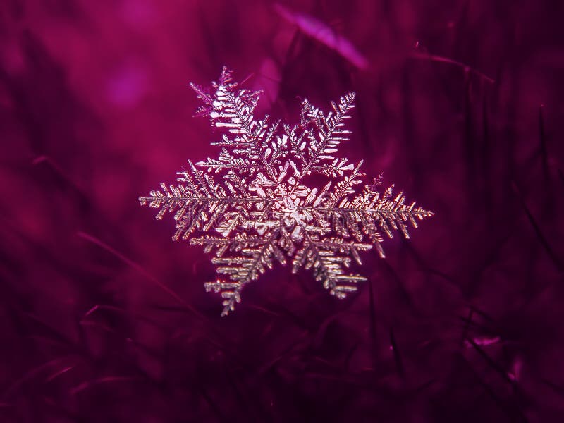 Snowflake όμορφο στη ζωηρόχρωμη μακροεντολή υποβάθρου στοκ εικόνα