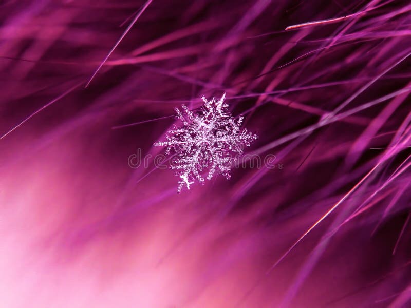 Snowflake όμορφο στη ζωηρόχρωμη μακροεντολή υποβάθρου στοκ εικόνα με δικαίωμα ελεύθερης χρήσης