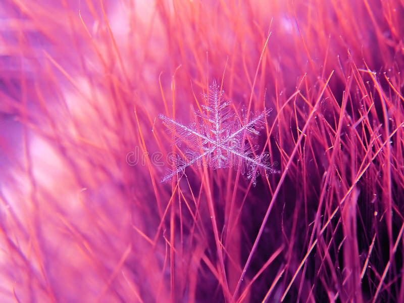 Snowflake όμορφο στη ζωηρόχρωμη μακροεντολή υποβάθρου στοκ φωτογραφία με δικαίωμα ελεύθερης χρήσης