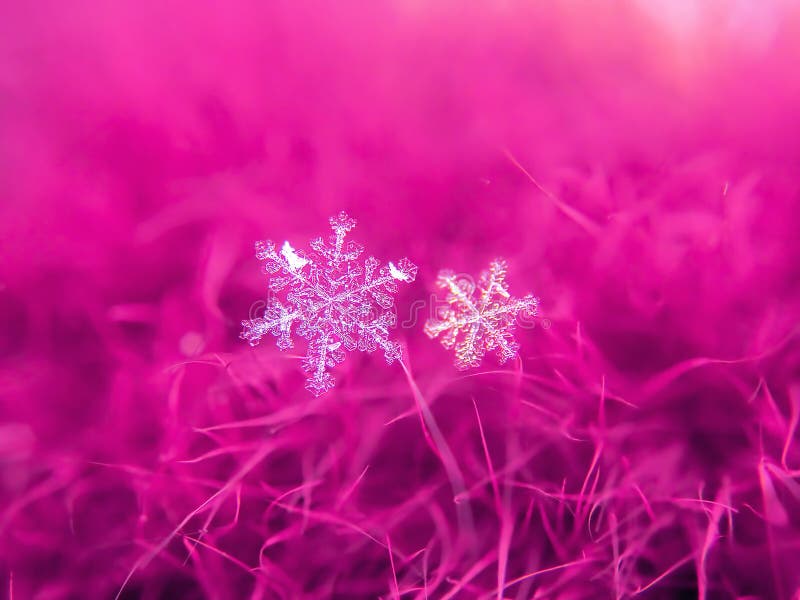 Snowflake όμορφο στη ζωηρόχρωμη μακροεντολή υποβάθρου στοκ φωτογραφίες με δικαίωμα ελεύθερης χρήσης