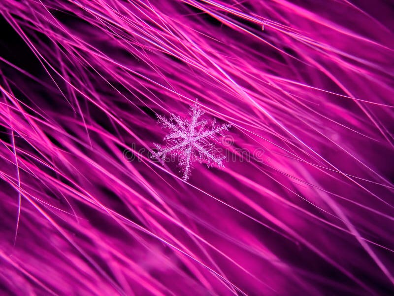 Snowflake όμορφο στη ζωηρόχρωμη μακροεντολή υποβάθρου