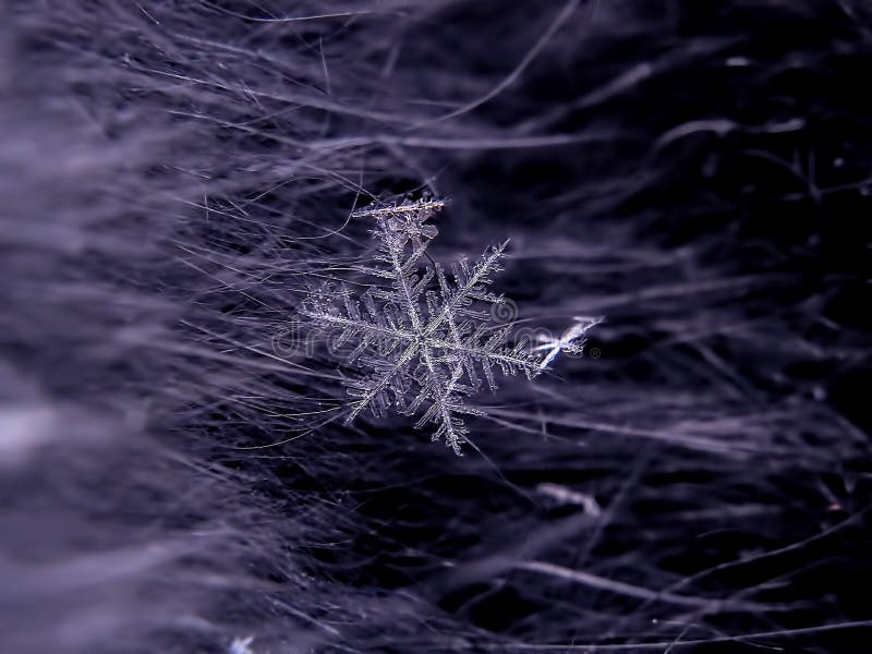 Snowflake όμορφο στη ζωηρόχρωμη μακροεντολή υποβάθρου στοκ φωτογραφίες με δικαίωμα ελεύθερης χρήσης