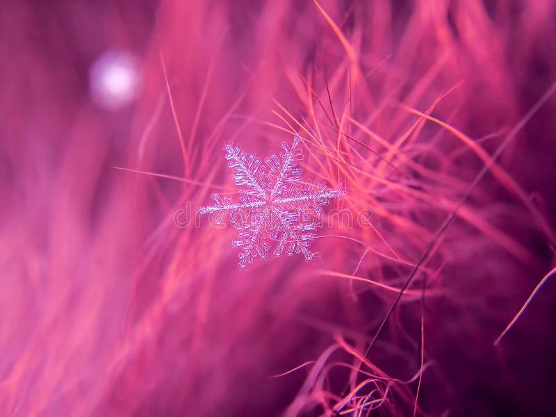 Snowflake όμορφο στη ζωηρόχρωμη μακροεντολή υποβάθρου στοκ εικόνα με δικαίωμα ελεύθερης χρήσης