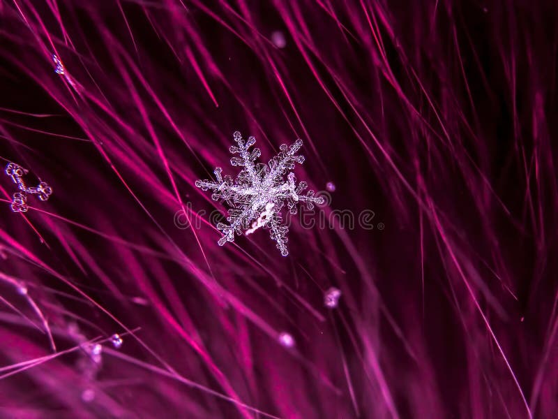 Snowflake όμορφο στη ζωηρόχρωμη μακροεντολή υποβάθρου στοκ φωτογραφία με δικαίωμα ελεύθερης χρήσης