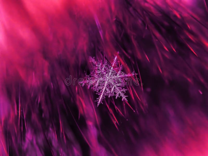 Snowflake όμορφο στη ζωηρόχρωμη μακροεντολή υποβάθρου στοκ φωτογραφία με δικαίωμα ελεύθερης χρήσης
