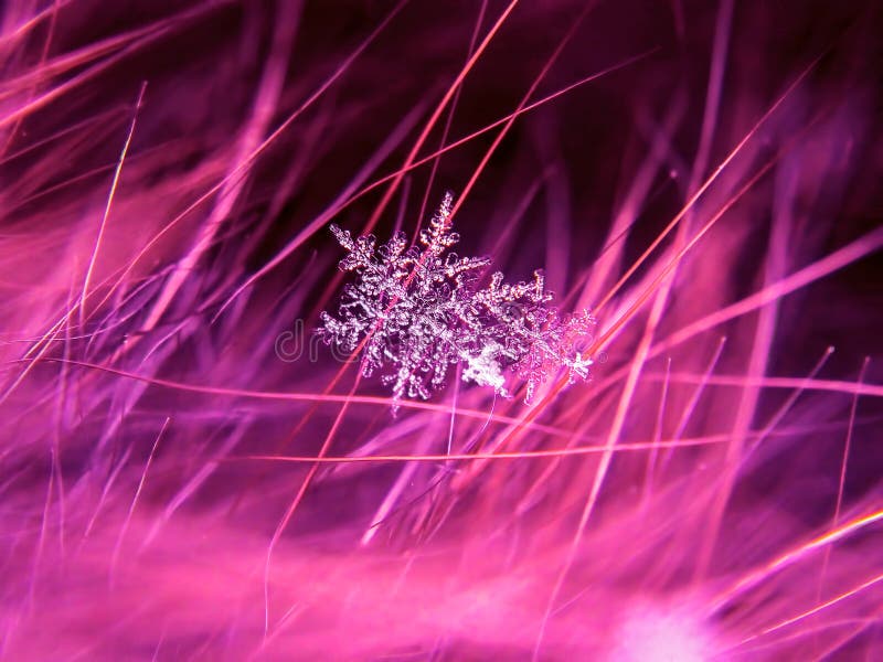 Snowflake όμορφο στη ζωηρόχρωμη μακροεντολή υποβάθρου στοκ φωτογραφία