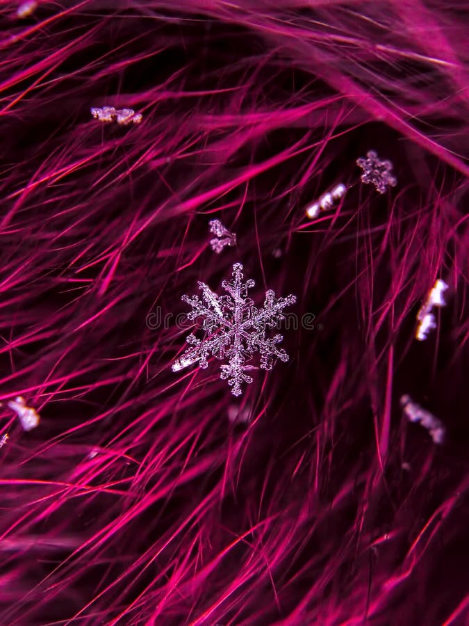 Snowflake όμορφο στη ζωηρόχρωμη μακροεντολή υποβάθρου στοκ φωτογραφίες