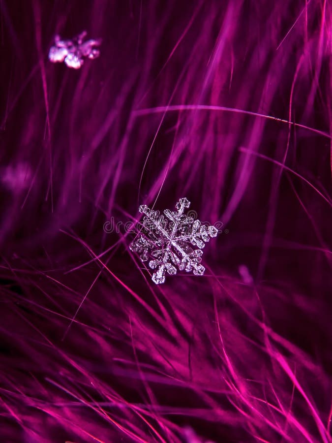 Snowflake όμορφο στη ζωηρόχρωμη μακροεντολή υποβάθρου στοκ εικόνες