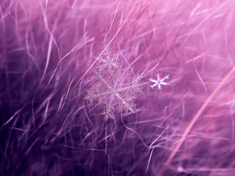 Snowflake όμορφο στη ζωηρόχρωμη μακροεντολή υποβάθρου στοκ εικόνες
