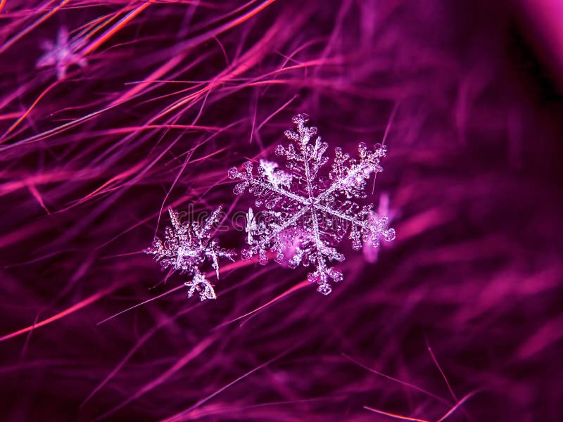 Snowflake όμορφο στη ζωηρόχρωμη μακροεντολή υποβάθρου στοκ εικόνες
