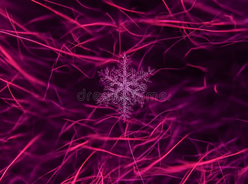 Snowflake όμορφο στη ζωηρόχρωμη μακροεντολή υποβάθρου στοκ εικόνες