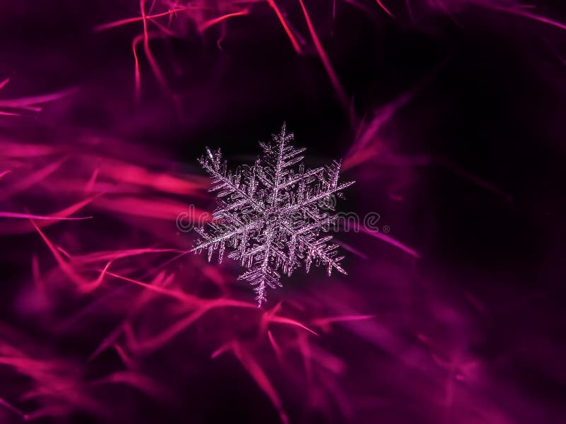 Snowflake όμορφο στη ζωηρόχρωμη μακροεντολή υποβάθρου στοκ εικόνες