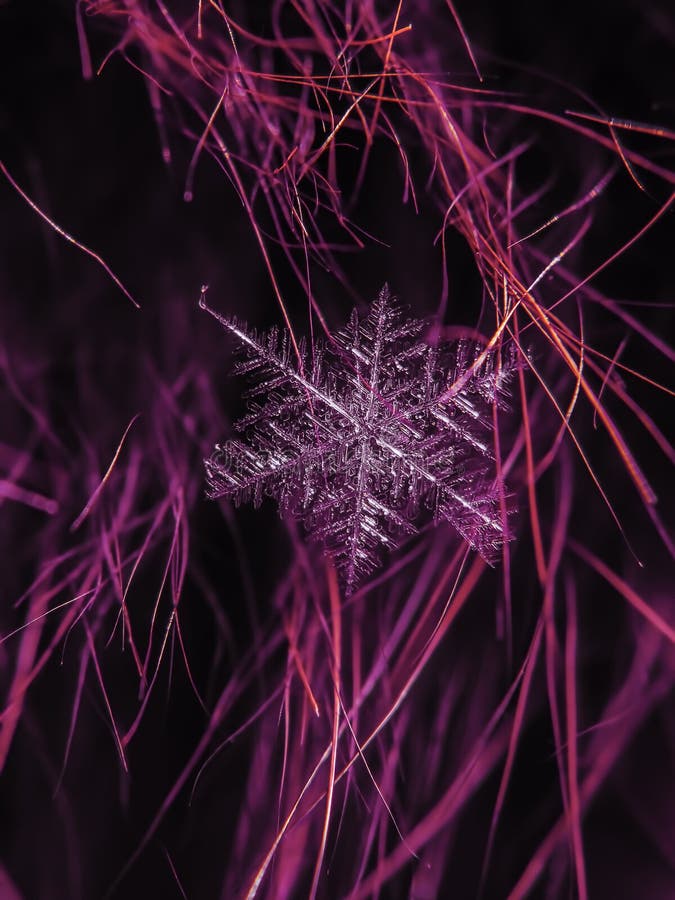Snowflake όμορφο στη ζωηρόχρωμη μακροεντολή υποβάθρου στοκ εικόνα