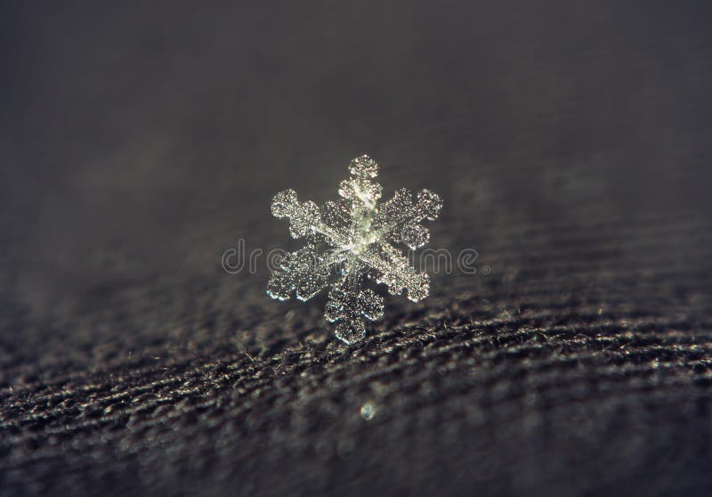 Snowflake όμορφο στο γκρίζο υπόβαθρο στοκ εικόνες
