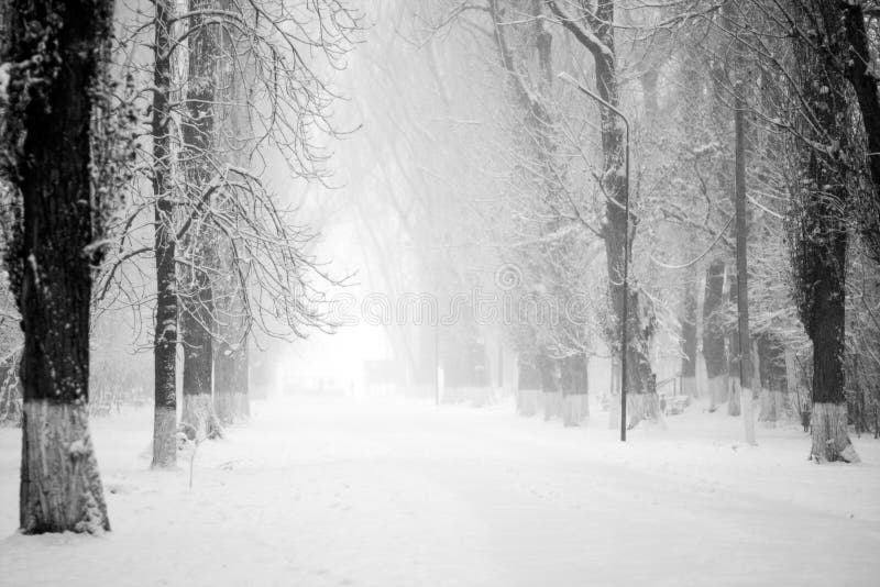 Snowing landscape in the park