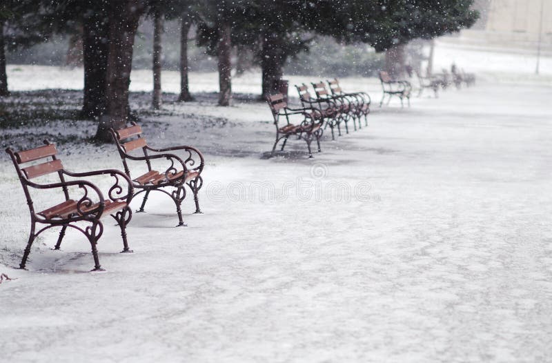 Snowing in the park