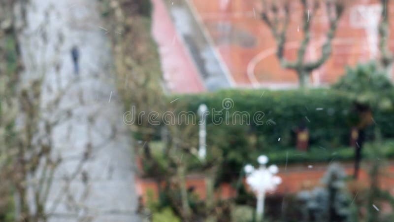 Snowing winter snow park people stock footage