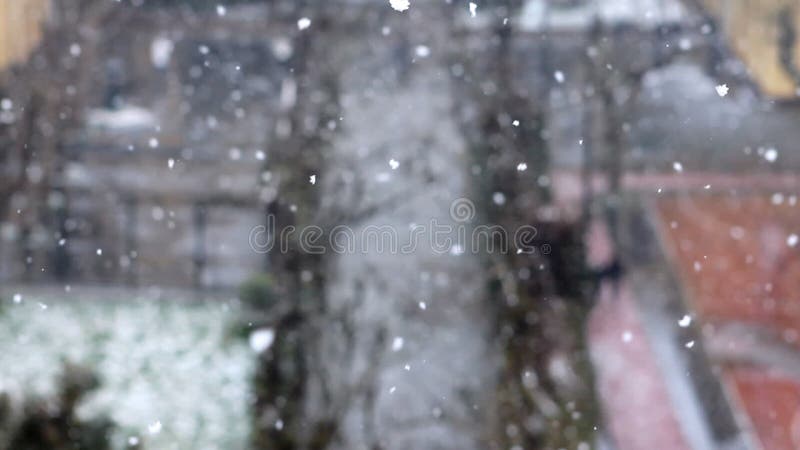 Snowing winter snow park people 2 stock footage
