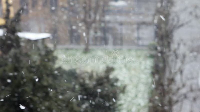 Snowing winter snow park people 3 stock footage