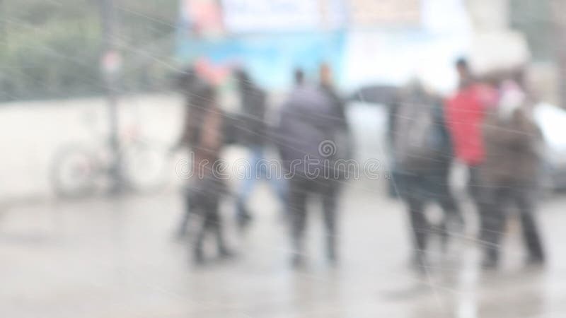 Snowing winter snow people stock video footage