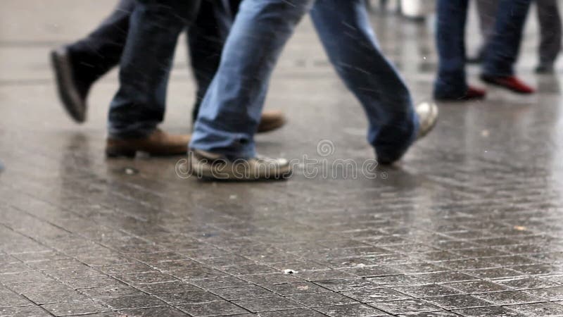 Snowing winter snow people walking stock video