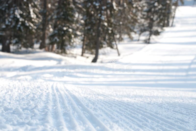 Snowmobile trail