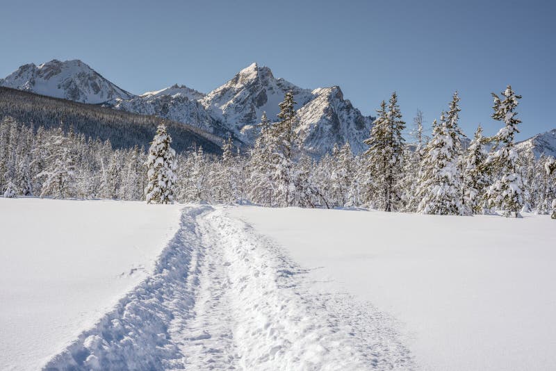 Snowmobile Trail Leads with the Mountains of Idaho Winter Stock Photo Image of cold, snow