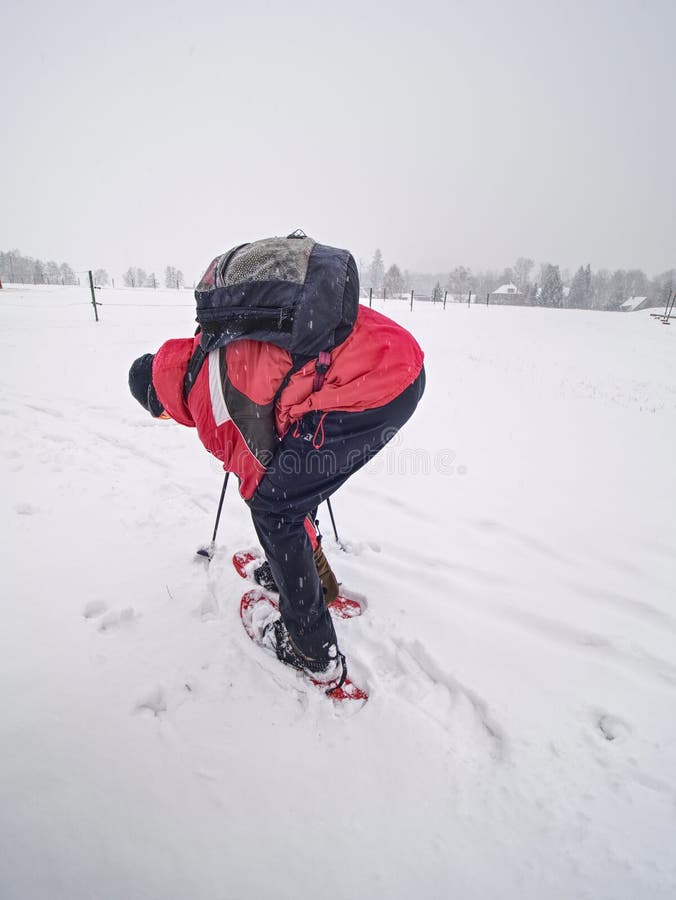 Snowshoe hiking in land. Active outdoor man hikes in farm range royalty free stock photos Snowshoe hiking in land. Active outdoor man hikes in farm range royalty free stock photos