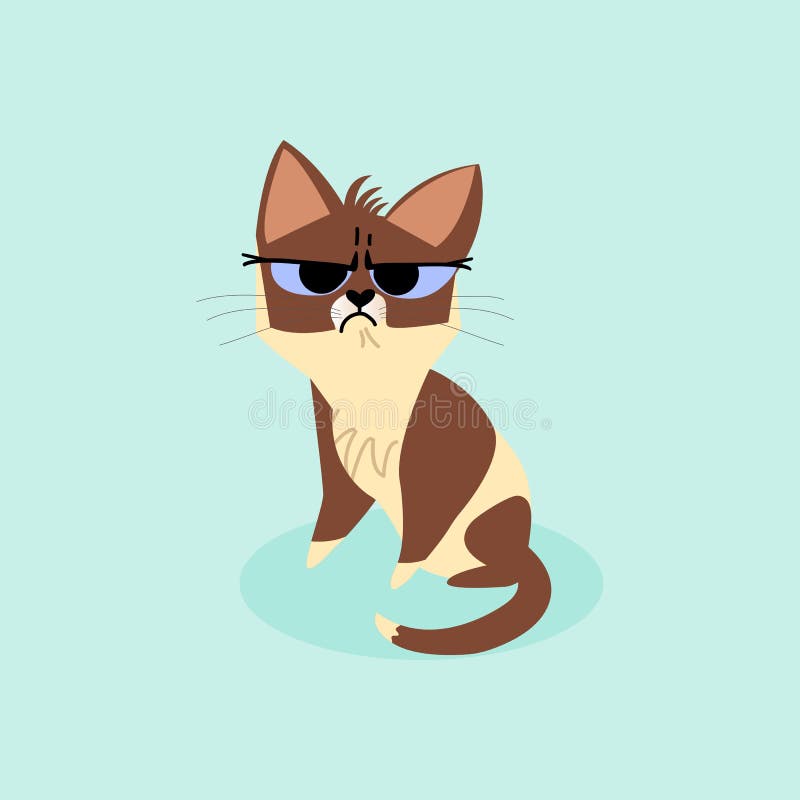 Snowshoe siamese grumpy kitten isolated on a blue background. Vector cartoon illustration.