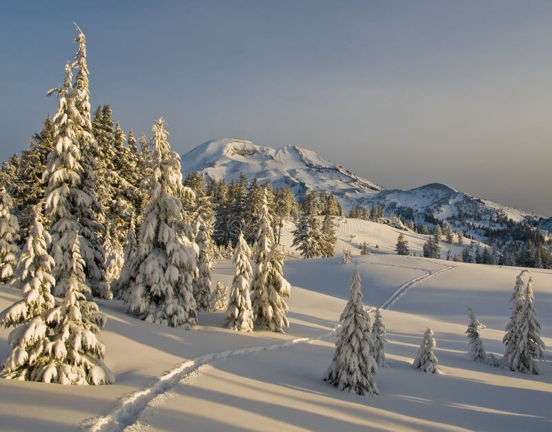 Snowshoe tracks in an alpine meadow