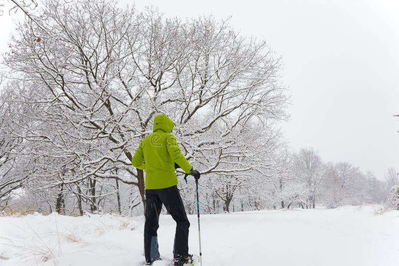 Snowshoeing stock photo. Image of tranquil, lifestyle - 7664394