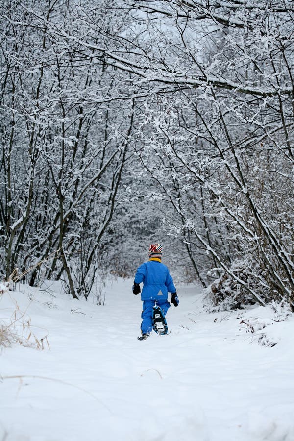 Snowshoeing su un percorso fotografia stock Snowshoeing su un percorso fotografia stock