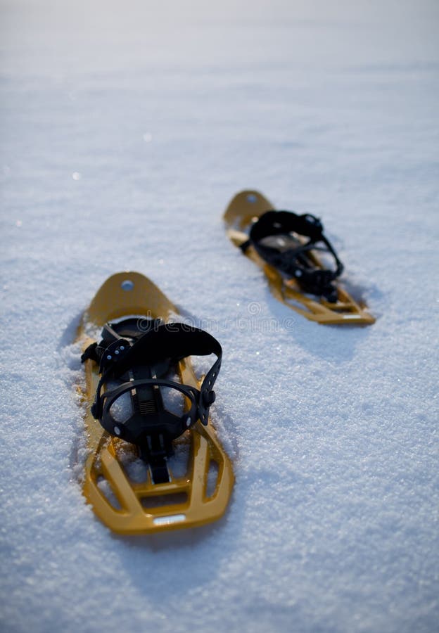 Snowshoes in a Snowy Landscape Stock Image Image of drink