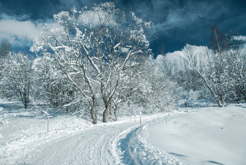 Snowy country