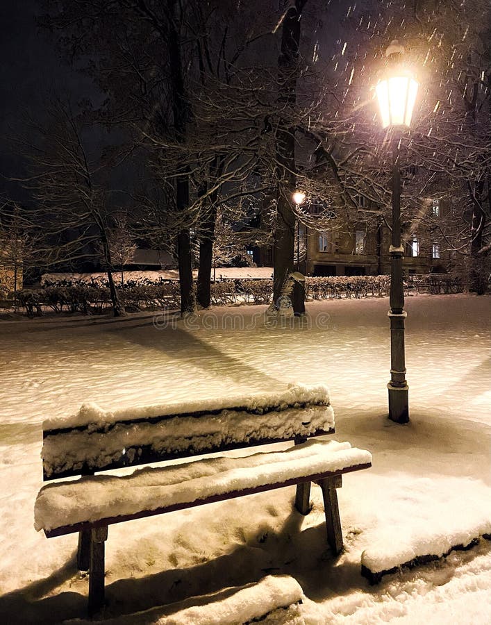 The streetlamp and a bench covered with snow in the park at night